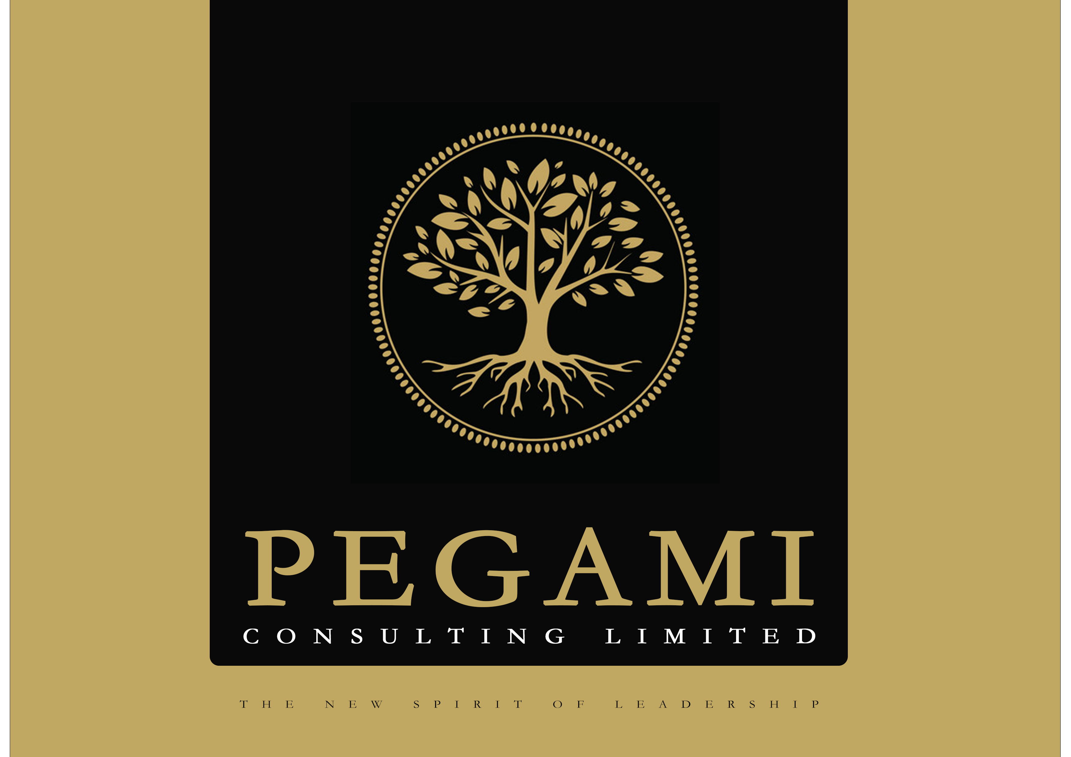 Pegami Consulting